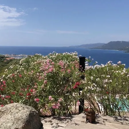 Tres Agreable Avec Piscine Balneo Et Vue Villa Propriano (Corsica)