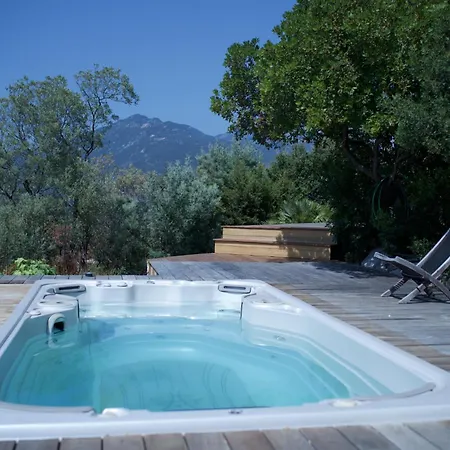 Tres Agreable Avec Piscine Balneo Et Vue Propriano (Corsica)